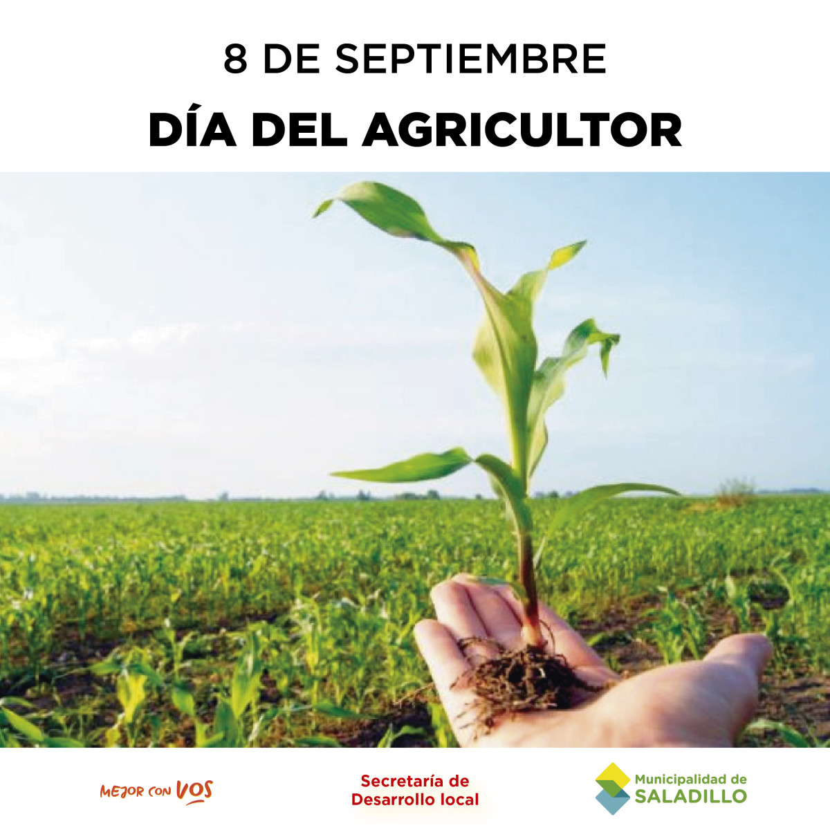 8 De Septiembre Día Del Agricultor Municipalidad De Saladillo